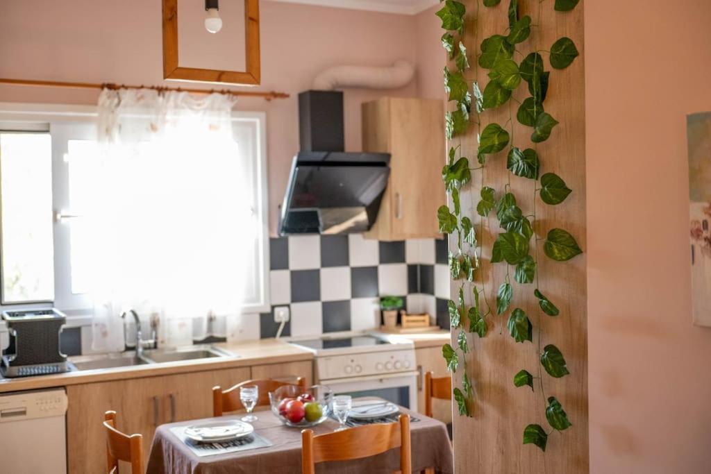 Dream House Apartment เปรเวซา ภายนอก รูปภาพ